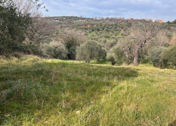 IMG_4328.jpg - Terreno agricolo Strada di Fonte Paolone, Marcellina - foto 7