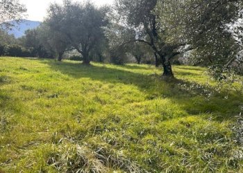 IMG_4329.jpg - Terreno agricolo Strada di Fonte Paolone, Marcellina - foto 8