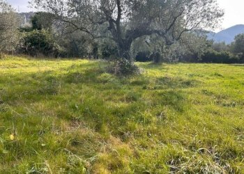 IMG_4330.jpg - Terreno agricolo Strada di Fonte Paolone, Marcellina - foto 9