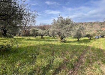 IMG_4335.jpg - Terreno agricolo Strada di Fonte Paolone, Marcellina - foto 13