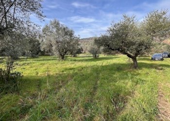 IMG_4336.jpg - Terreno agricolo Strada di Fonte Paolone, Marcellina - foto 14