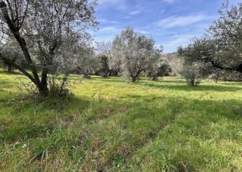 IMG_4337.jpg - Terreno agricolo Strada di Fonte Paolone, Marcellina - foto 15