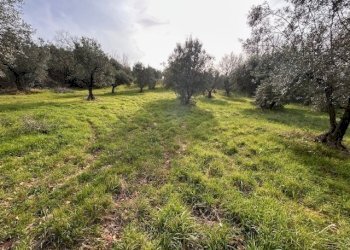 IMG_4341.jpg - Terreno agricolo Strada di Fonte Paolone, Marcellina - foto 19