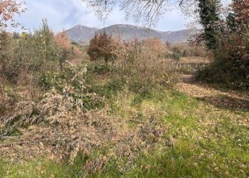 IMG_4342.jpg - Terreno agricolo Strada di Fonte Paolone, Marcellina - foto 20