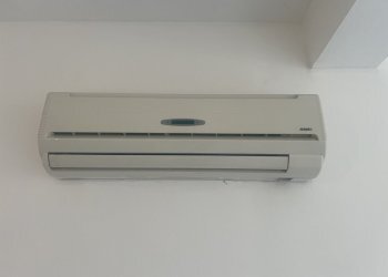 IMG_8019.jpg - Locale Commerciale Via Argini 2, Ravarino - foto 11