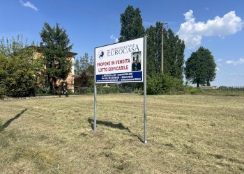 IMG_3001.JPG - Terreno edificabile Via per Riolo 46, Castelfranco Emilia - foto 7