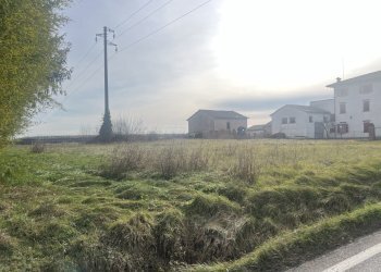 IMG_9466.JPG - Terreno edificabile Via per Riolo 46, Castelfranco Emilia - foto 12