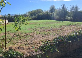 WhatsApp Image 2024-09-10 at 10.38.05 (1).jpeg - Terreno edificabile VIA UDINE, Guidonia Montecelio - foto 2