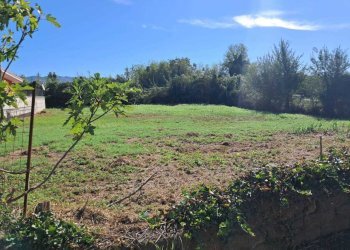 WhatsApp Image 2024-09-10 at 10.38.05 (3).jpeg - Terreno edificabile VIA UDINE, Guidonia Montecelio - foto 4