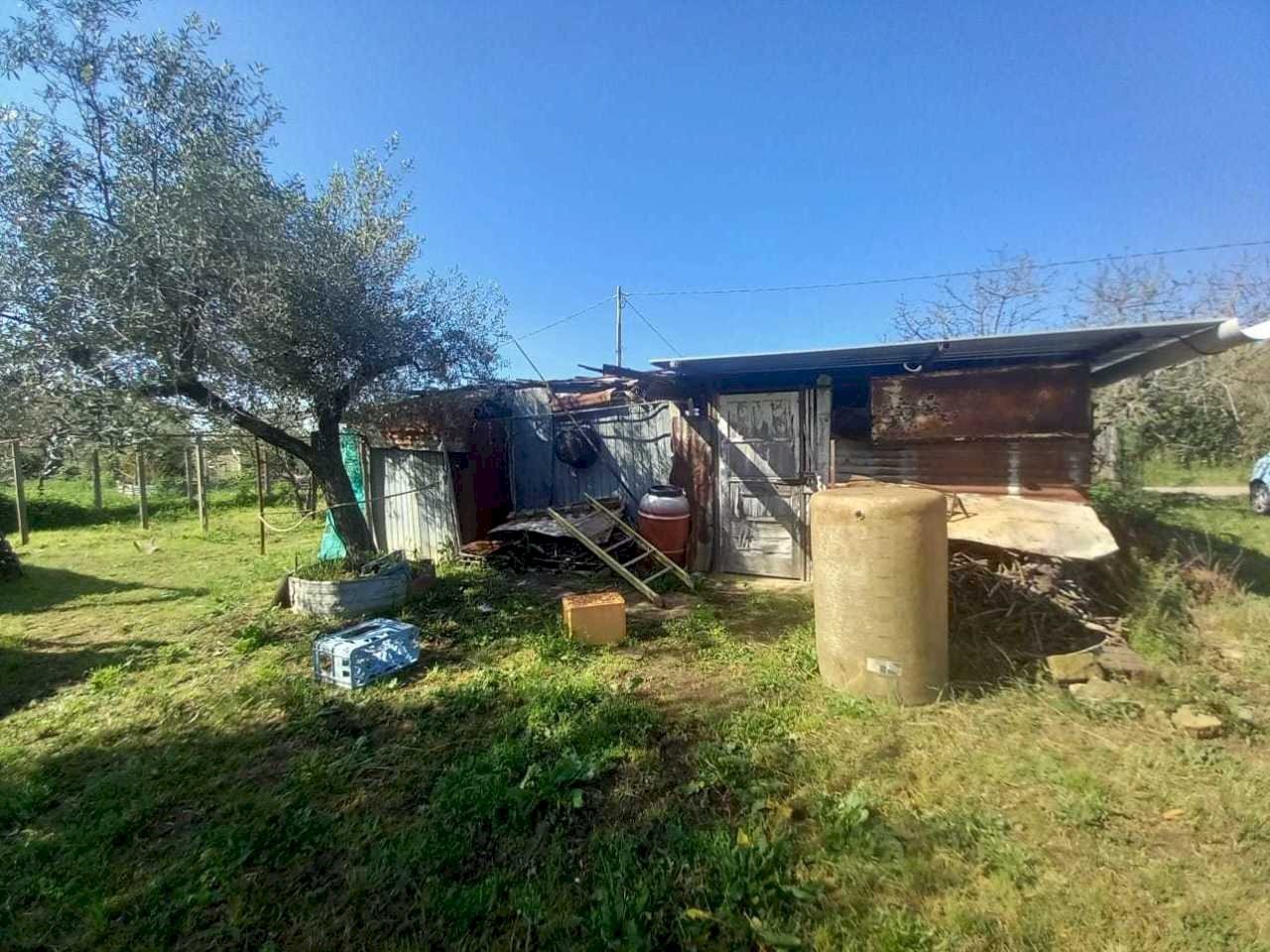 WhatsApp Image 2025-04-03 at 10.50.21 (1).jpeg - Terreno agricolo strada san pastore, Tivoli - foto 2