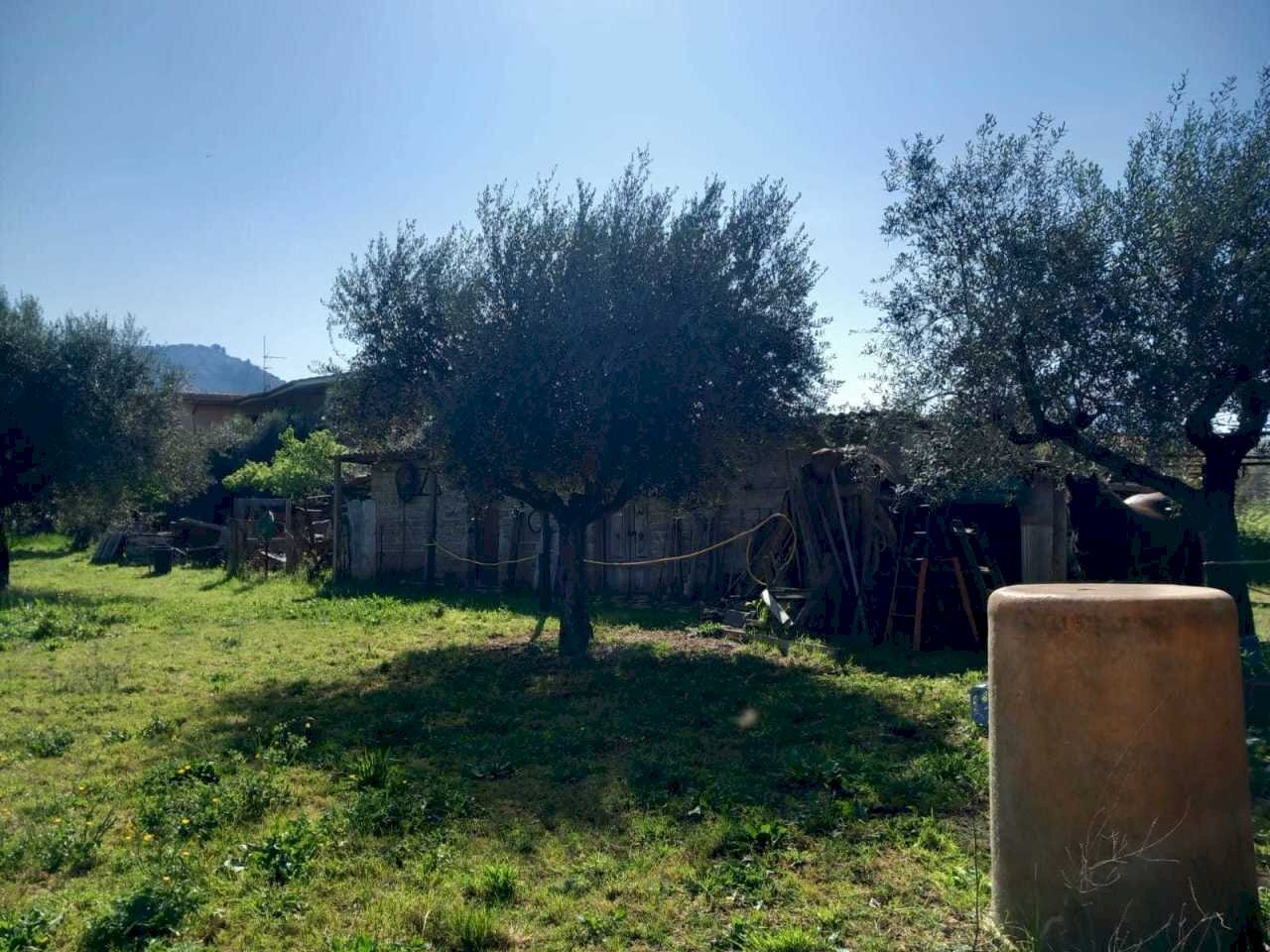 WhatsApp Image 2025-04-03 at 10.50.21 (3).jpeg - Terreno agricolo strada san pastore, Tivoli - foto 3