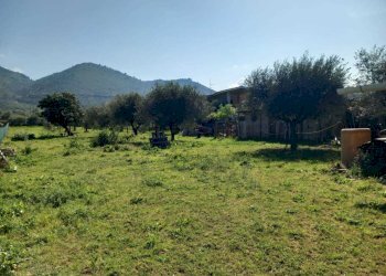 WhatsApp Image 2025-04-03 at 10.50.20 (1).jpeg - Terreno agricolo strada san pastore, Tivoli - foto 1