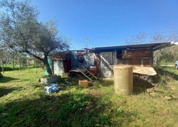 WhatsApp Image 2025-04-03 at 10.50.21 (1).jpeg - Terreno agricolo strada san pastore, Tivoli - foto 2