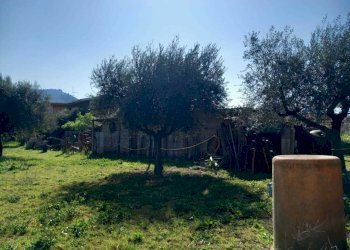 WhatsApp Image 2025-04-03 at 10.50.21 (3).jpeg - Terreno agricolo strada san pastore, Tivoli - foto 3