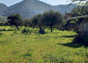 WhatsApp Image 2025-04-03 at 10.50.24.jpeg - Terreno agricolo strada san pastore, Tivoli - foto 6