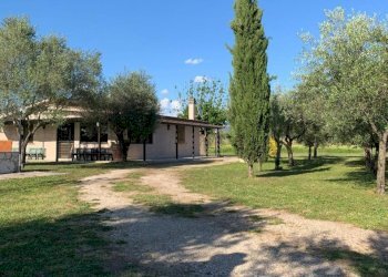 WhatsApp Image 2025-03-07 at 10.19.49.jpeg - Villa VIA DEI LAGHI, Tivoli - photo 5