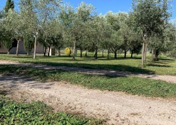 WhatsApp Image 2025-03-07 at 10.19.49 (6).jpeg - Villa VIA DEI LAGHI, Tivoli - photo 15