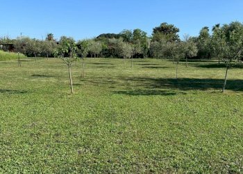 WhatsApp Image 2025-03-07 at 10.19.50 (10).jpeg - Villa VIA DEI LAGHI, Tivoli - photo 16