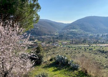 21.jpeg - Villa a Schiera via Monti Lucretili, Tivoli - foto 26