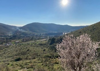 23.jpeg - Villa a Schiera via Monti Lucretili, Tivoli - foto 28