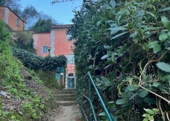 esterno1.jpg - Appartamento Portofino - foto 1