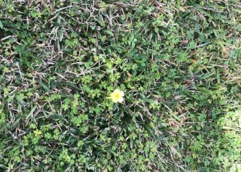 4e956322-f7aa-43a8-a44f-9058a18fb1b5.jpg - Villa VIA ISOLE DELLA CALEDONIA, Siracusa - photo 28