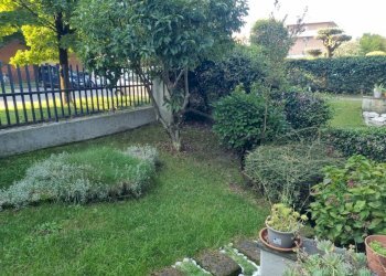 WhatsApp Image 2025-09-19 at 10.11.43.jpeg - Trilocale vicolo dei frassini, Treviolo - foto 9