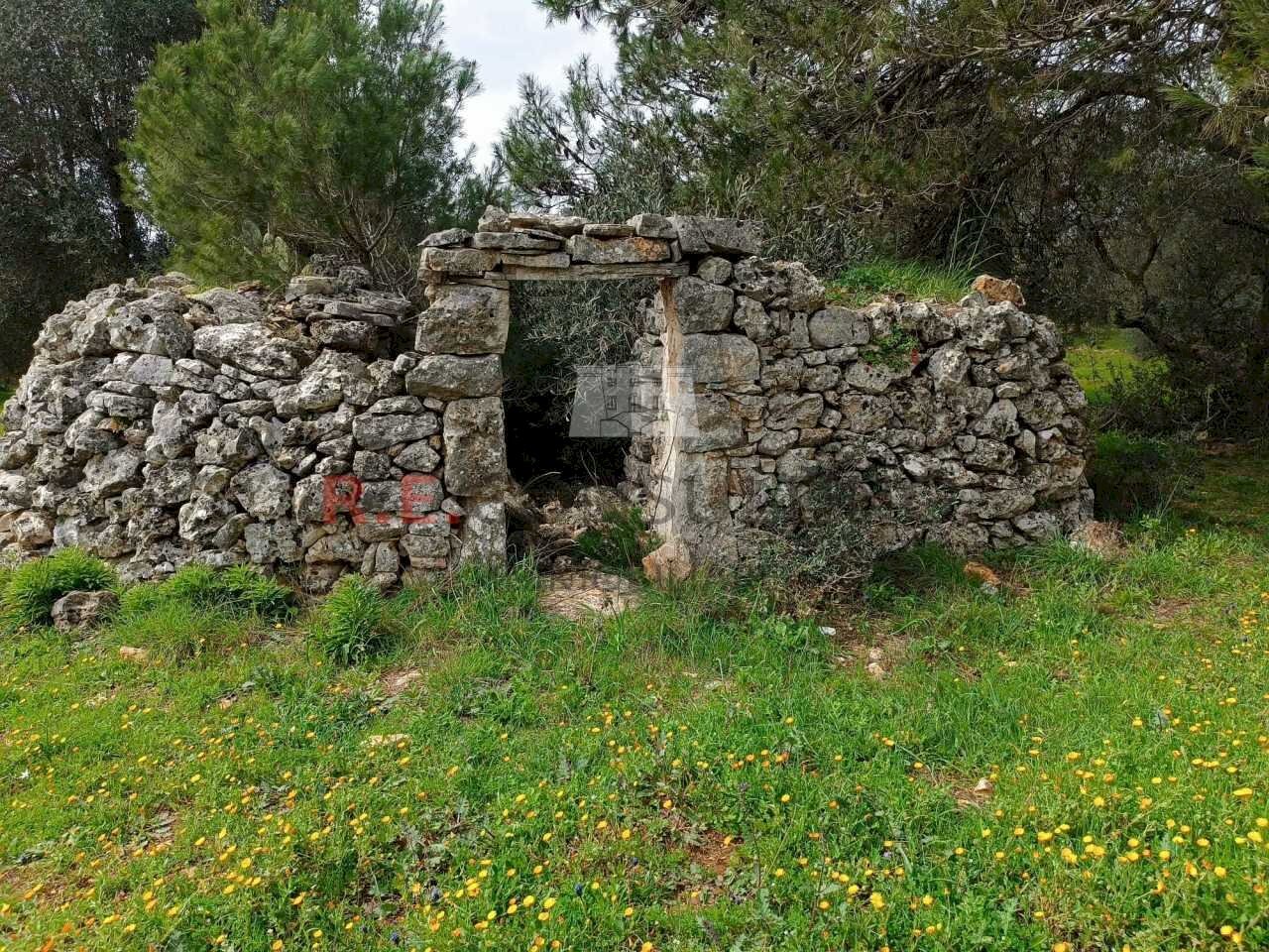 75d5a6e9-0bb0-4450-b138-8ace4e681530.jpg - Baita strada provinciale 23, Martina Franca - foto 3