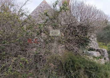 bbc19636-0f64-41ca-8661-c2c605ebea03.jpg - Baita strada provinciale 23, Martina Franca - photo 1