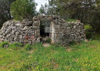 75d5a6e9-0bb0-4450-b138-8ace4e681530.jpg - Baita strada provinciale 23, Martina Franca - photo 3