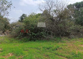 555542d1-d1bf-4e00-ac68-fdf798f7c36d.jpg - Baita strada provinciale 23, Martina Franca - photo 4