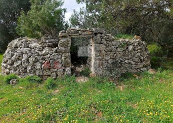 d688b57e-c74d-4759-8c0a-c823de48a51e.jpg - Baita strada provinciale 23, Martina Franca - photo 7