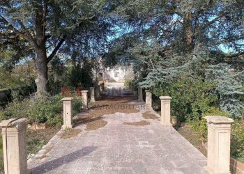 9f5d9db7-8635-46ba-8b2b-eb942bd92572.jpg - Villa SS172 24, Martina Franca - foto 17