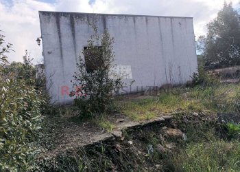 8366df55-9872-4e89-ab03-016280d0f936.jpg - Villa SS172 24, Martina Franca - foto 21