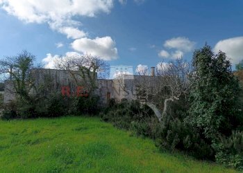 89734a28-0bce-4018-95fd-32c36725525c.jpg - Villa SS172 24, Martina Franca - foto 25