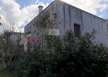 39729882-20b4-49d6-a18b-9c78ef80d3f7.jpg - Villa SS172 24, Martina Franca - foto 30