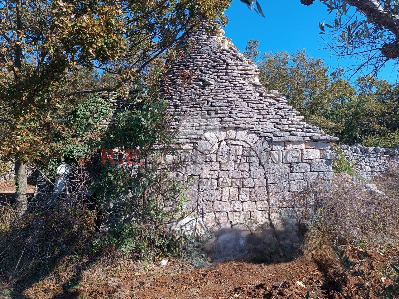 IMG_20231030_100925 (2).jpg - Rustico via alberobello mulino l antica macina, Martina Franca - foto 1
