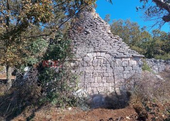 IMG_20231030_100925 (2).jpg - Rustic via alberobello mulino l antica macina, Martina Franca - photo 1
