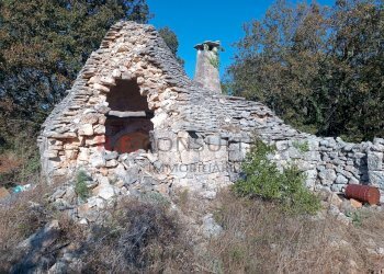 IMG_20231030_100951.jpg - Rustic via alberobello mulino l antica macina, Martina Franca - photo 2