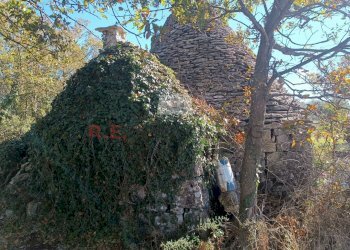 IMG_20231030_101033.jpg - Rustic via alberobello mulino l antica macina, Martina Franca - photo 3