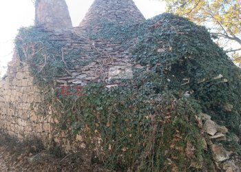 IMG_20231030_101051.jpg - Rustic via alberobello mulino l antica macina, Martina Franca - photo 4