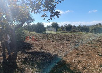 IMG_20231030_101103.jpg - Rustic via alberobello mulino l antica macina, Martina Franca - photo 6