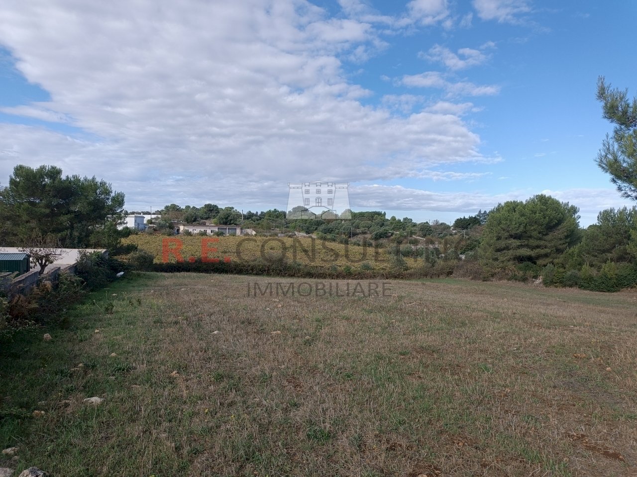 IMG_20231026_100241.jpg - Baita contrada cavalcatore, Martina Franca - foto 2