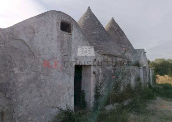 WhatsApp Image 2025-02-05 at 17.34.46 (2).jpeg - Casale SP49 172, Martina Franca - photo 4