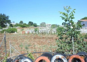 xxl(13).jpg - Casale Via Chiancaro, Martina Franca - photo 13