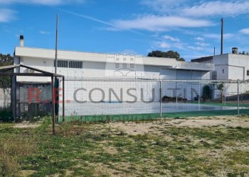 20241119_102810.jpg - Capannone Strada Provinciale ex SS 581 126, Martina Franca - foto 1