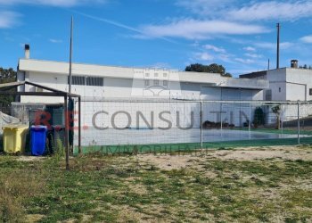 20241119_102810.jpg - Capannone Strada Provinciale ex SS 581 126, Martina Franca - foto 7