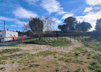 20241119_102817.jpg - Capannone Strada Provinciale ex SS 581 126, Martina Franca - foto 8