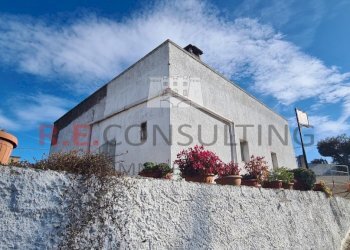 20241119_102904.jpg - Capannone Strada Provinciale ex SS 581 126, Martina Franca - foto 9