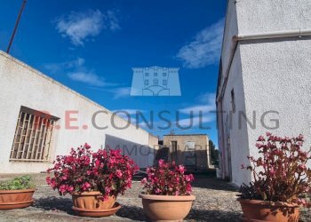 20241119_102916.jpg - Capannone Strada Provinciale ex SS 581 126, Martina Franca - foto 10